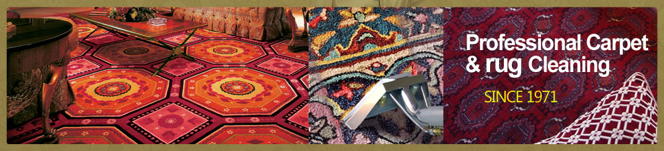 carpet cleaning blog banner