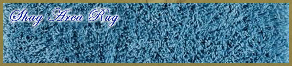 Shag Area Rugs banner