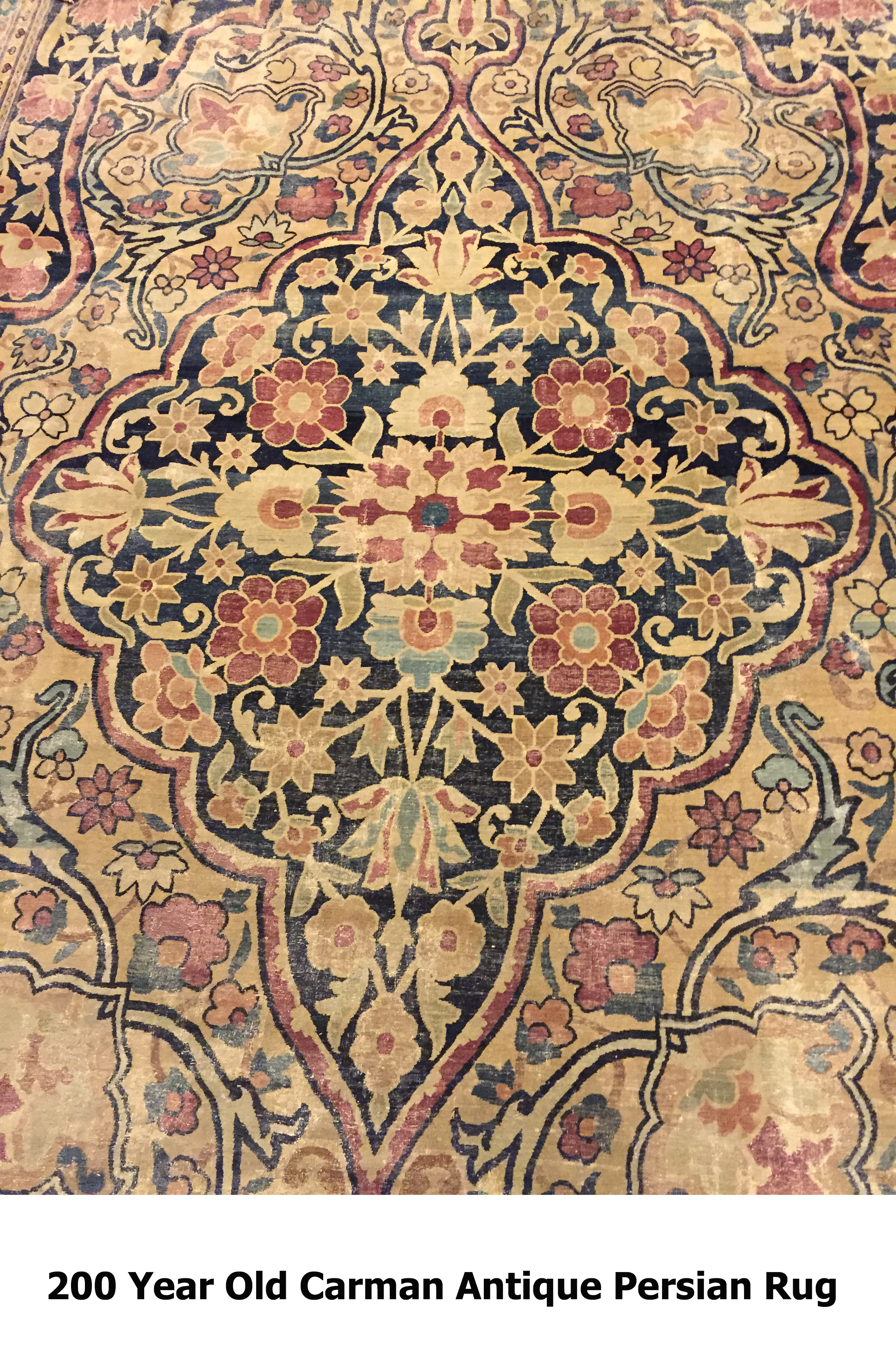 Oriental Rug Cleaning